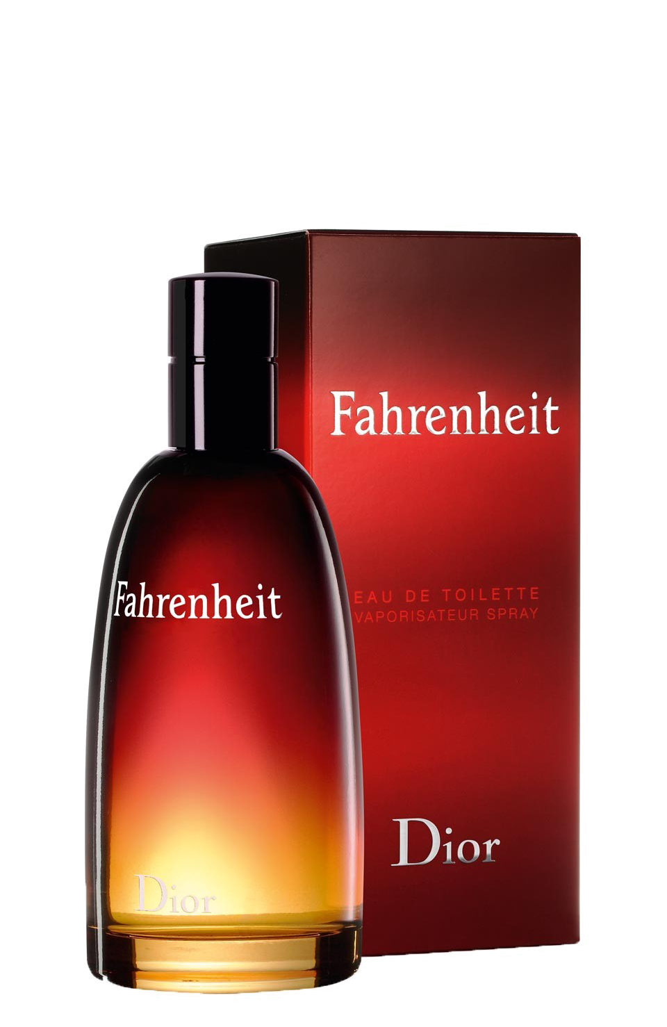 DIOR FAHRENHEIT EDT 100ML