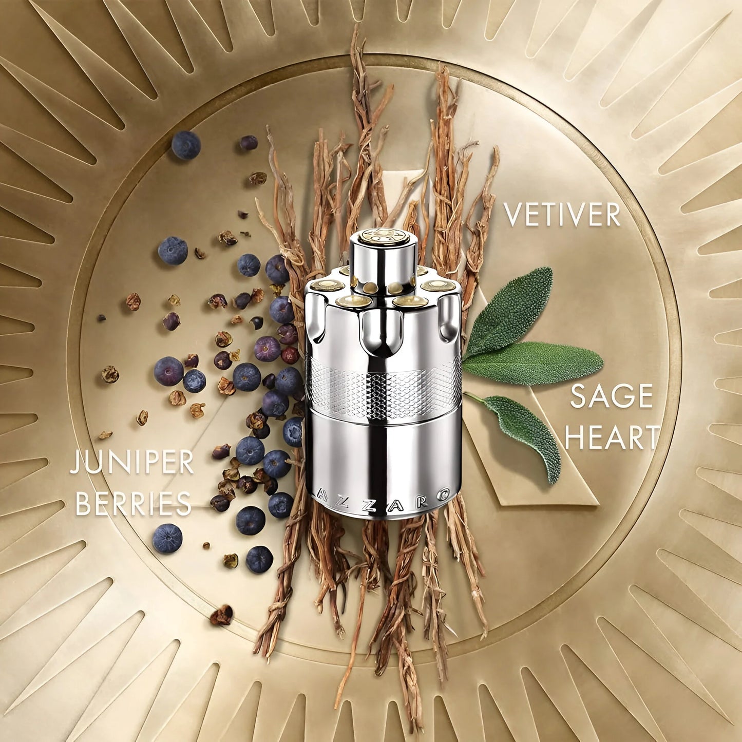 AZZARO WANTED EDP 100ML