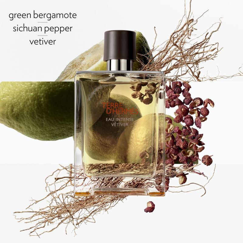TERRE D'HERMÈS EDT 100ML