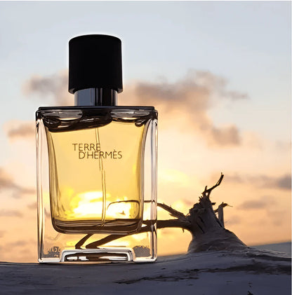 TERRE D'HERMÈS EDT 100ML