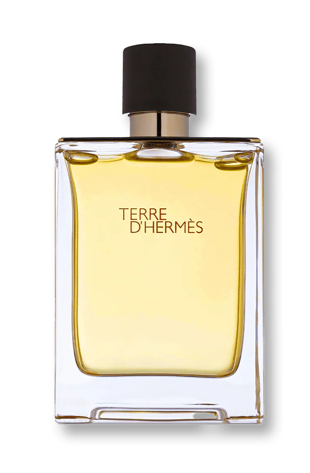 TERRE D'HERMÈS EDT 100ML