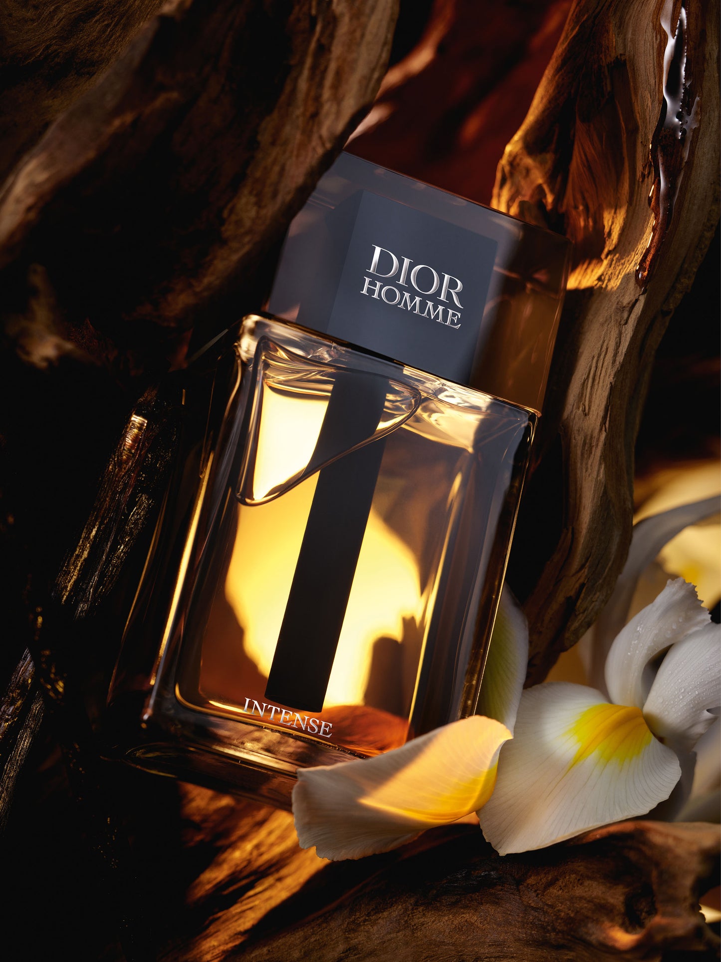 DIOR HOMME INTENSE EDP 100ML