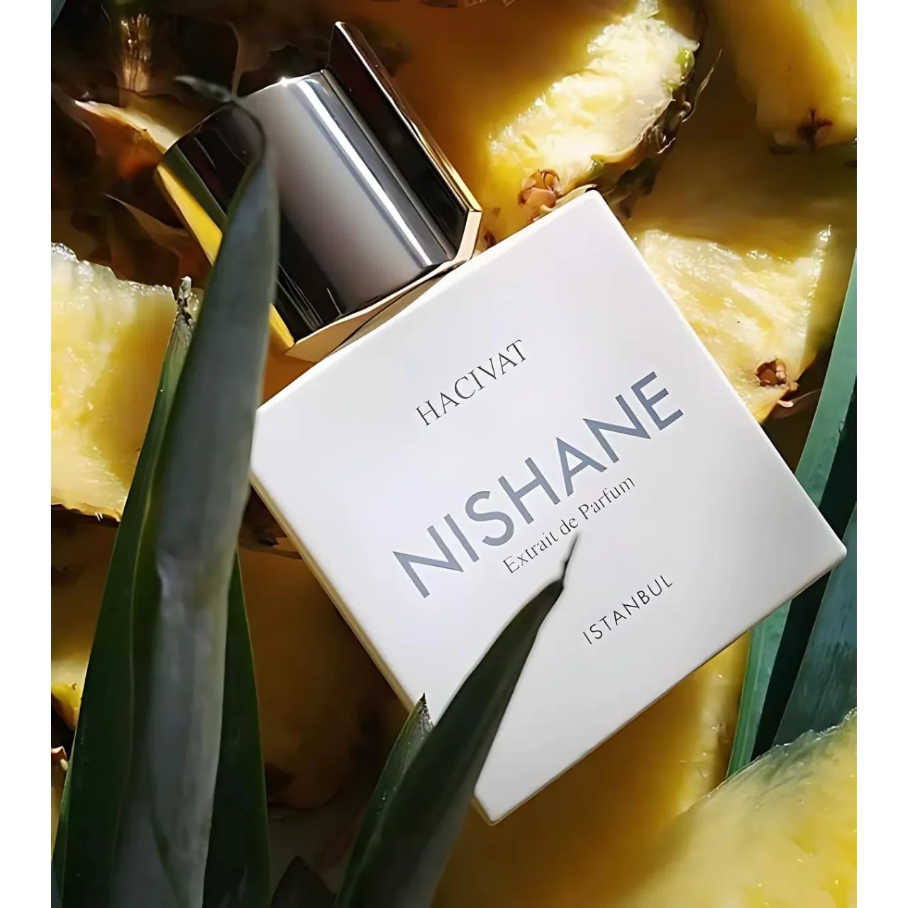 NISHANE HACIVAT EDP 100ML