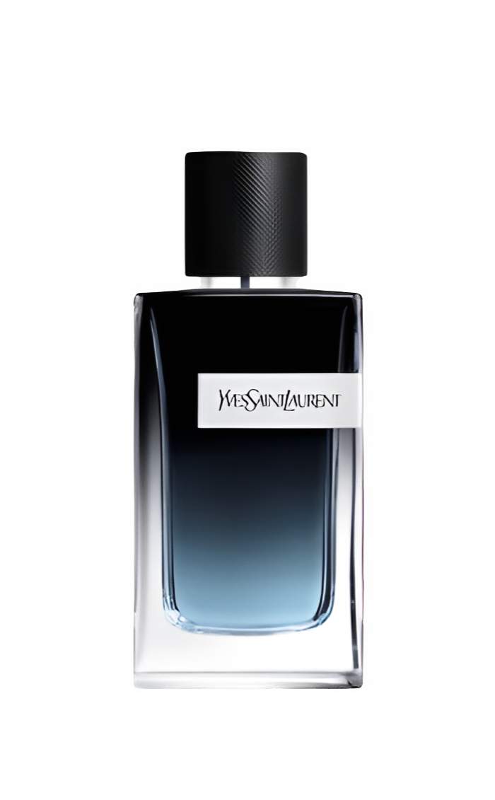 YSL Y EDP 100ML