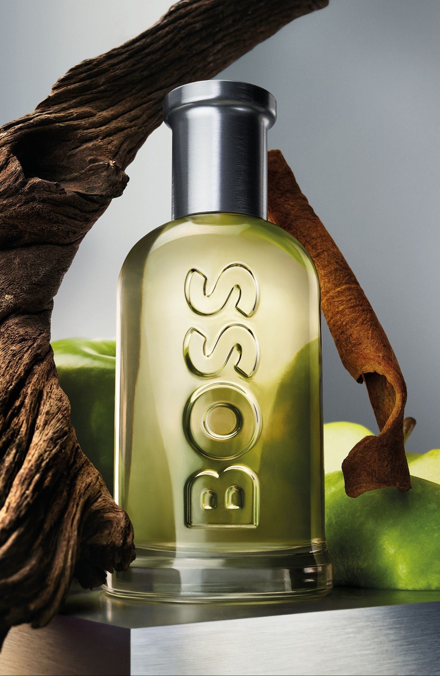 HUGO BOSS BOTTLED 100ML