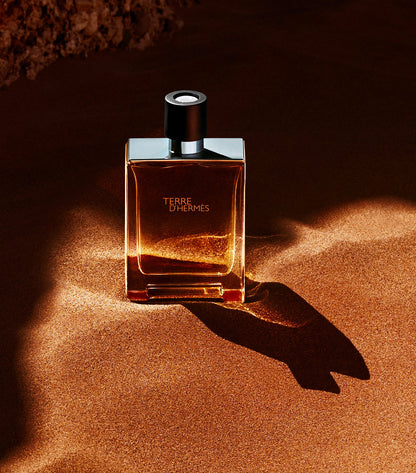 TERRE D'HERMÈS EDT 100ML